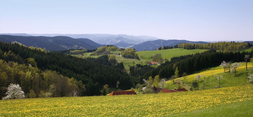 Schmalzerhisli Apartman Oberwolfach Kültér fotó