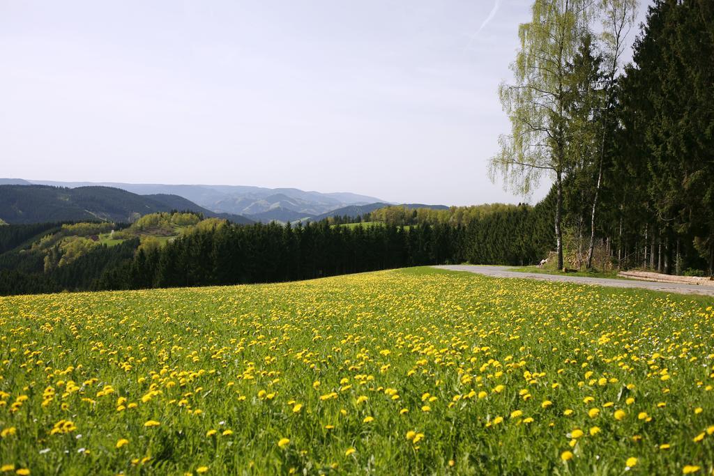 Schmalzerhisli Apartman Oberwolfach Kültér fotó