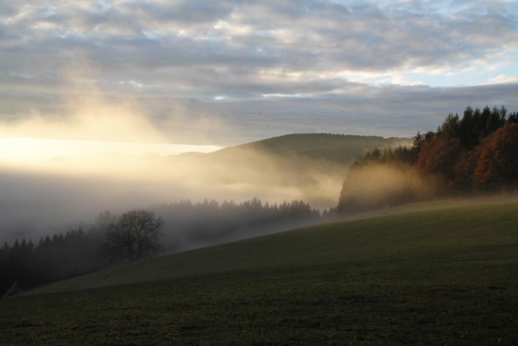 Schmalzerhisli Apartman Oberwolfach Kültér fotó