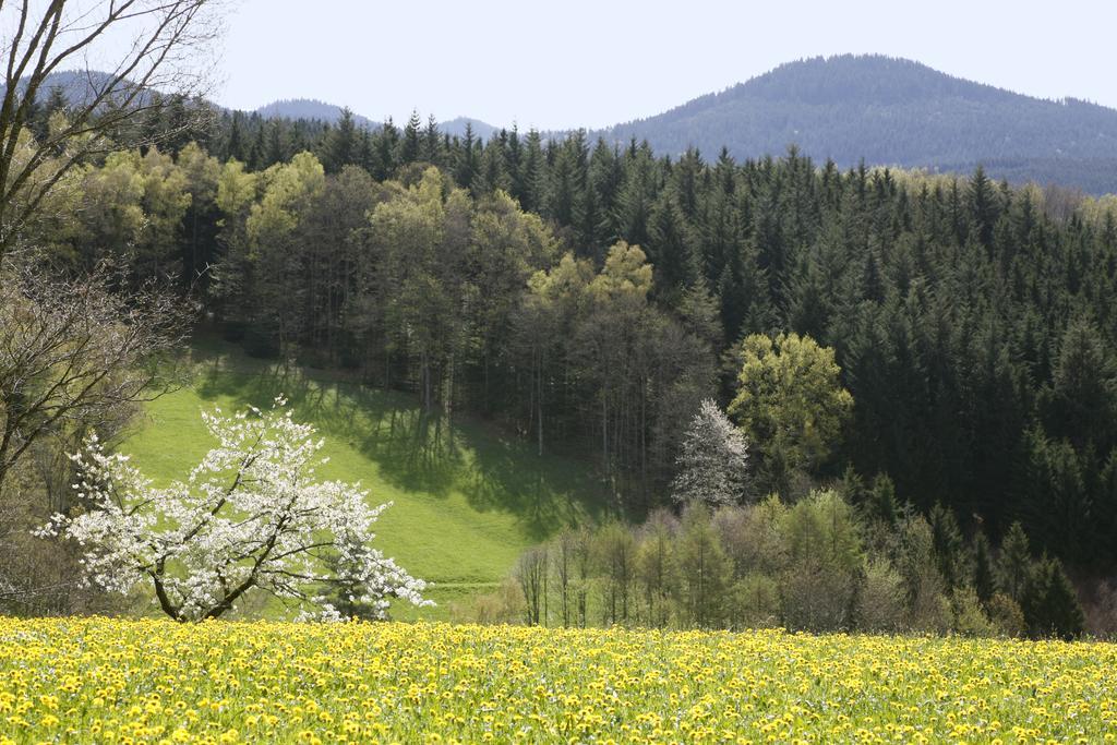 Schmalzerhisli Apartman Oberwolfach Kültér fotó